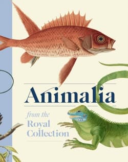 Animalia wer. angielska - Andrew Brown