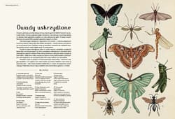 Galeria - zdjęcie nr. 2 - Animalium. Muzeum zwierząt