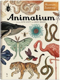 Animalium. Muzeum zwierząt - Jenny Broom