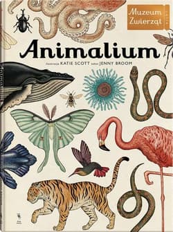 Animalium. Muzeum zwierząt - Jenny Broom