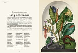 Galeria - zdjęcie nr. 3 - Animalium. Muzeum zwierząt