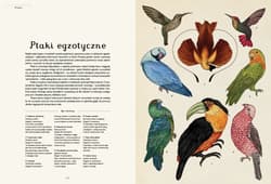 Galeria - zdjęcie nr. 4 - Animalium. Muzeum zwierząt