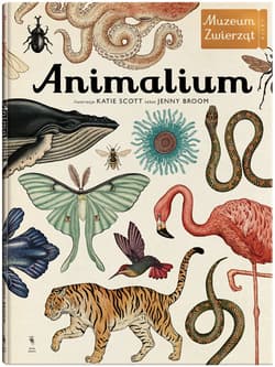 Animalium Muzeum zwierząt - Jenny Broom