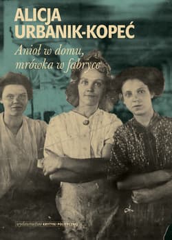 Anioł w domu mrówka w fabryce - Alicja Urbanik-Kopeć