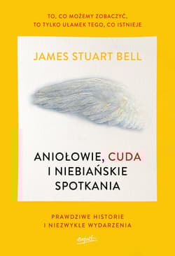 Aniołowie cuda i niebiańskie spotkania Prawdziwe historie i niezwykłe wydarzenia - James Stuart Bell