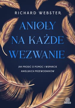 Anioły na każde wezwanie. Jak prosić o pomoc i wsparcie anielskich przewodników - ebook - Richard Webster