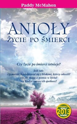Anioły Życie po śmierci - McMahon Paddy