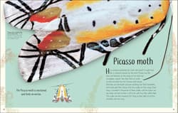 Galeria - zdjęcie nr. 2 - Anthology of Remarkable Bugs