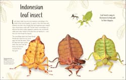 Galeria - zdjęcie nr. 3 - Anthology of Remarkable Bugs