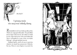 Galeria - zdjęcie nr. 3 - Antykwariat pod Błękitnym Lustrem