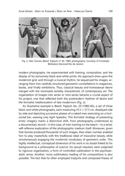 Galeria - zdjęcie nr. 3 - Anuario de Arte Latinoamericano. Brasil