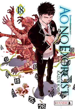 Ao No Exorcist. Tom 18 - Kazue Katou