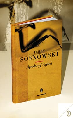 Apokryf Agłai - ebook - Jerzy Sosnowski