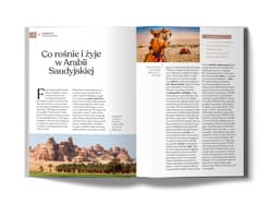 Galeria - zdjęcie nr. 2 - Arabia Saudyjska. Złota Seria