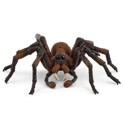 Aragog SLH13987
