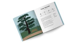 Galeria - zdjęcie nr. 4 - Arborama. Odkrywaj i obserwuj niezwykły świat drzew