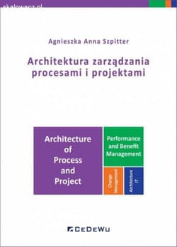 Architektura zarządzania procesami i projektami