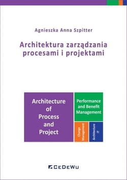 Architektura zarządzania procesami i projektami - Szpitter Agnieszka Anna