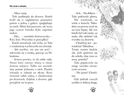 Galeria - zdjęcie nr. 3 - Arlo, kociak w potrzebie. Zaopiekuj się mną