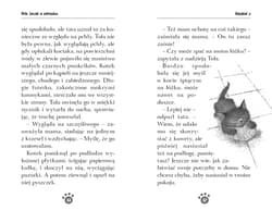 Galeria - zdjęcie nr. 4 - Arlo, kociak w potrzebie. Zaopiekuj się mną
