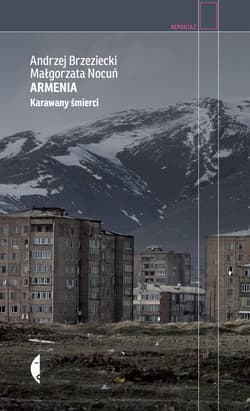 Armenia - ebook - Andrzej Brzeziecki, Małgorzata Nocuń