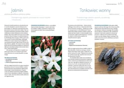 Galeria - zdjęcie nr. 2 - Aromaterapia dla duszy i ciała. Jak olejkami eterycznymi przeciwdziałać stresowi, zmęczeniu i ponuremu nastrojowi