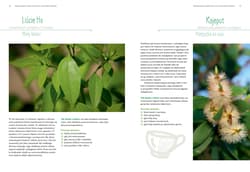 Galeria - zdjęcie nr. 2 - Aromaterapia dla dzieci. Naturalna i szybka pomoc w codziennych sytuacjach