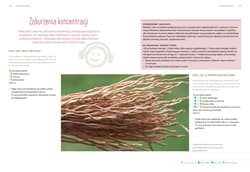 Galeria - zdjęcie nr. 4 - Aromaterapia dla dzieci. Naturalna i szybka pomoc w codziennych sytuacjach