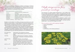 Galeria - zdjęcie nr. 2 - Aromaterapia dla kobiet. Cykl, PMS, pielęgnacja ciała, seksualność, psychika, menopauza, holistyczne wsparcie