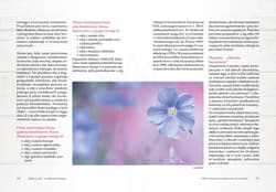 Galeria - zdjęcie nr. 4 - Aromaterapia dla kobiet. Cykl, PMS, pielęgnacja ciała, seksualność, psychika, menopauza, holistyczne wsparcie