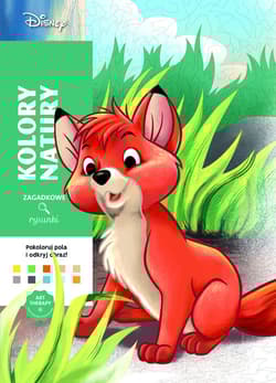 Art therapy Kolorowanka antystresowa Disney Zagadkowe rysunki - William Bal