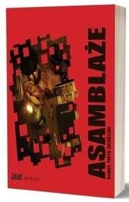 Asamblaże - Ciesielski Daniel Piotr