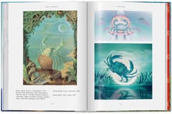 Galeria - zdjęcie nr. 5 - Astrology. The Library of Esoterica