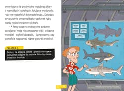 Galeria - zdjęcie nr. 2 - Atak rekina. Mały Sherlock