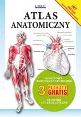 Atlas anatomiczny - Praca zbiorowa