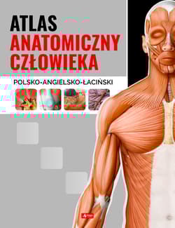 Atlas anatomiczny człowieka - Opracowanie Zbiorowe