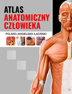 Atlas anatomiczny człowieka - Opracowanie Zbiorowe