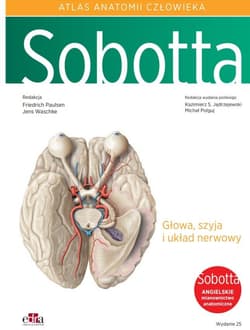 Atlas anatomii człowieka Sobotta T.3 Angielskie .. - Paulsen F.,  Waschke J.