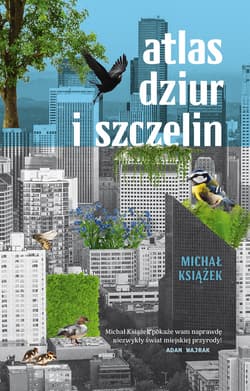 Atlas dziur i szczelin - ebook