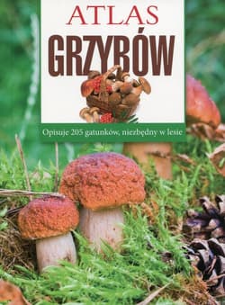 Atlas grzybów - Sławomir Sokół