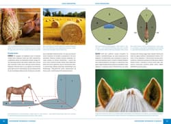 Galeria - zdjęcie nr. 3 - Atlas jeździectwa