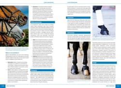 Galeria - zdjęcie nr. 4 - Atlas jeździectwa