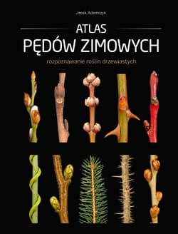 Atlas pędów zimowych - Adamczyk Jacek