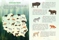 Galeria - zdjęcie nr. 5 - Atlas Polski dla dzieci