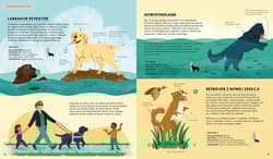 Galeria - zdjęcie nr. 2 - Atlas psów. Rasy z całego świata