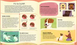 Galeria - zdjęcie nr. 3 - Atlas psów. Rasy z całego świata