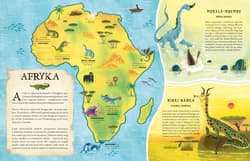 Galeria - zdjęcie nr. 2 - Atlas smoków. Jaszczurze plemię z różnych stron świata