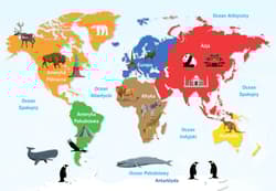 Galeria - zdjęcie nr. 2 - Atlas świata dla dzieci