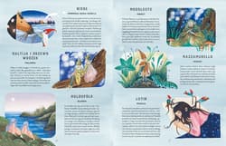 Galeria - zdjęcie nr. 4 - Atlas wróżek. Magiczny lud z różnych stron świata