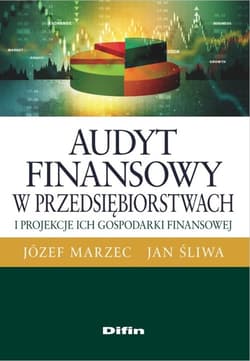 Audyt finansowy w przedsiębiorstwach i projekcje ich gospodarki finansowej